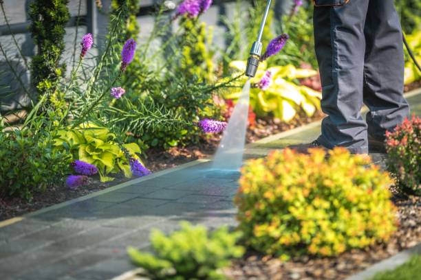 Best House Exterior Washing  in Lawson Heights, PA